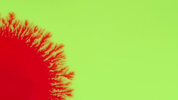 Crystal Germination alt