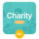 Charity - Humanity & Aid Google Slides Template