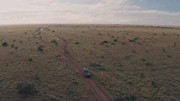 Elephant sighting while on wildlife safari vacation in Laikipia, Kenya. Aerial drone view alt