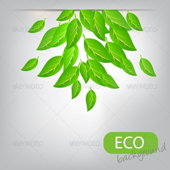Eco Leaves Background - Flowers & Plants Nature