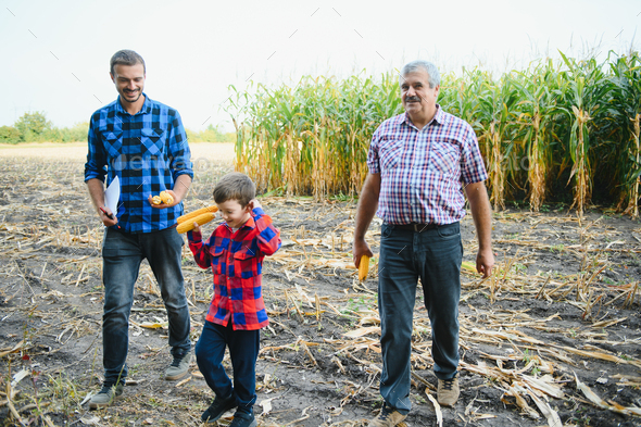 old farmer man standing in his field full of harvest together with his ...