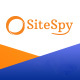 SiteSpy - The Most Complete Visitor Analytics & SEO Tools (SaaS)