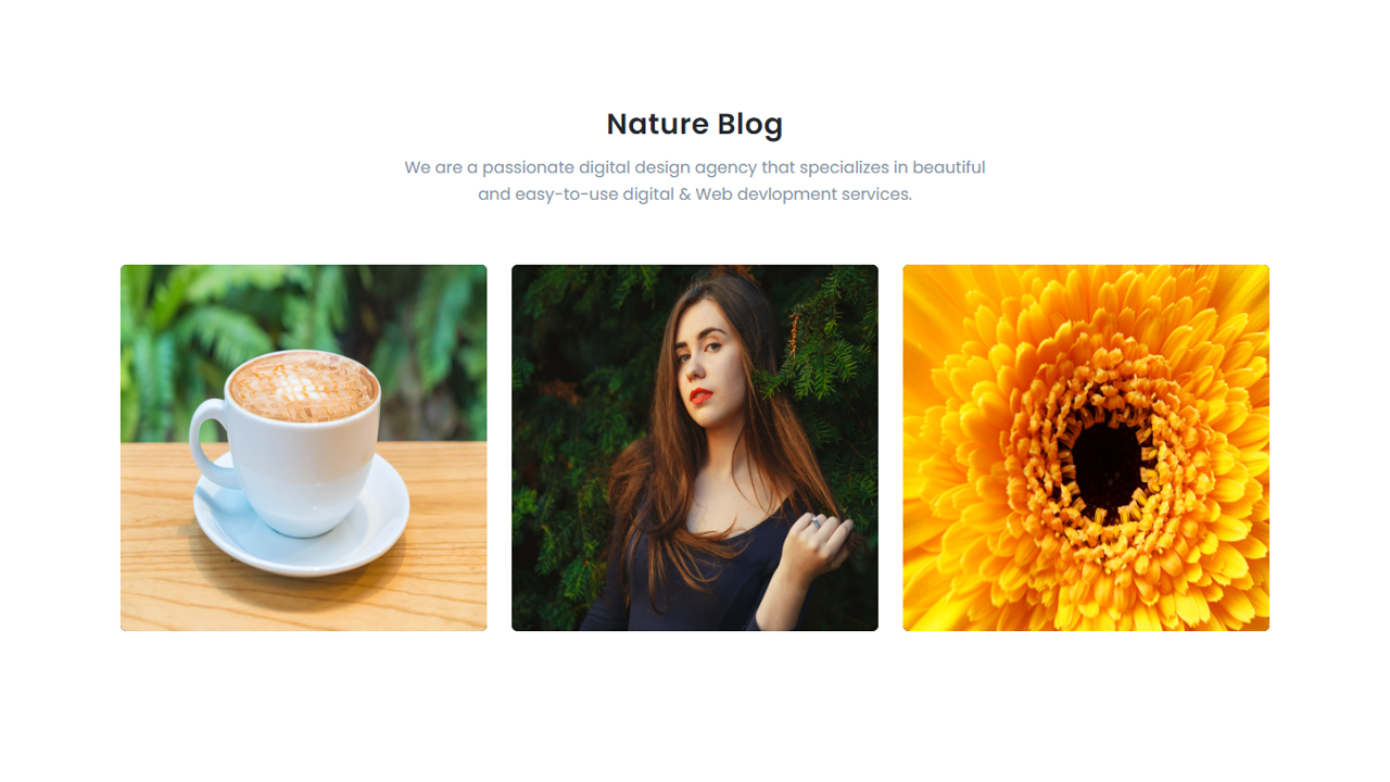 Bloglog - Bootstrap 5 Blog Section Template By ShreeThemes | CodeCanyon