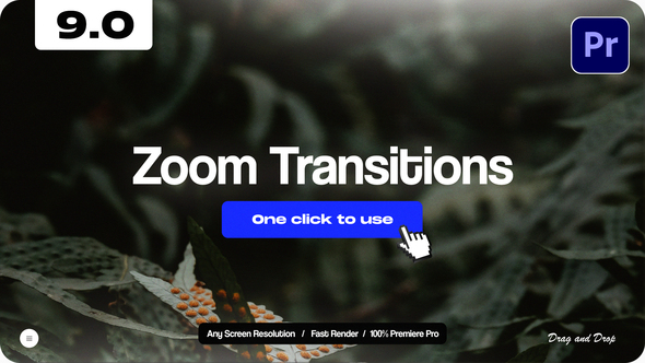 Zoom Transitions 9.0