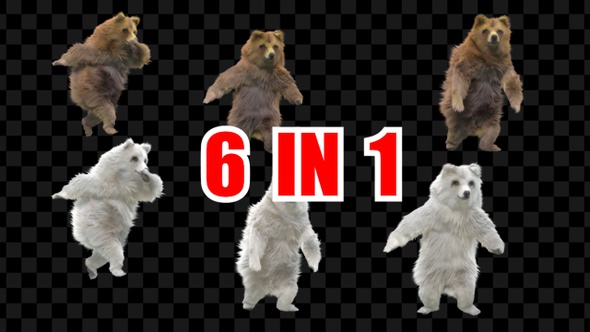Bear Dancing 6 Pack alt