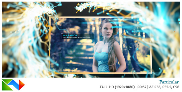 Particular - VideoHive 4071840