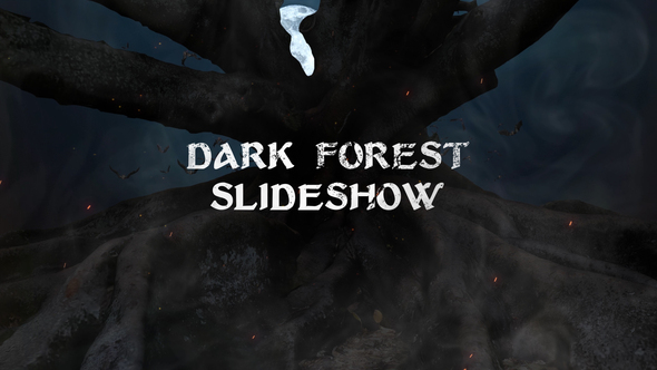 Horror Trailer / Dark Forest Slideshow
