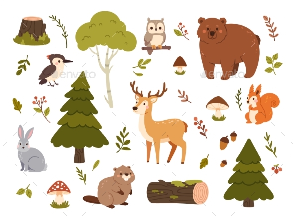 Wild Forest Animals