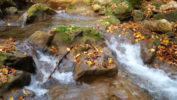 Lake in Autumn Forest