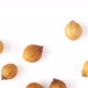 panning coriander seeds isolated on white - VideoHive Item for Sale