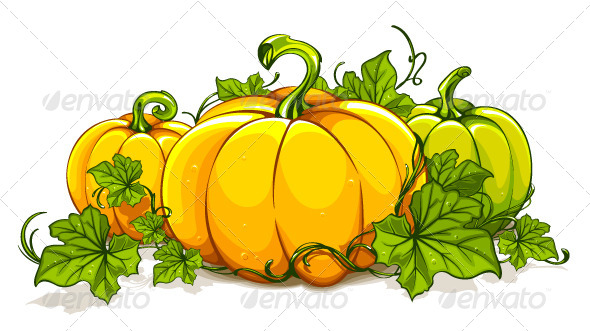 Pumpkins Isolated on White - Vectors