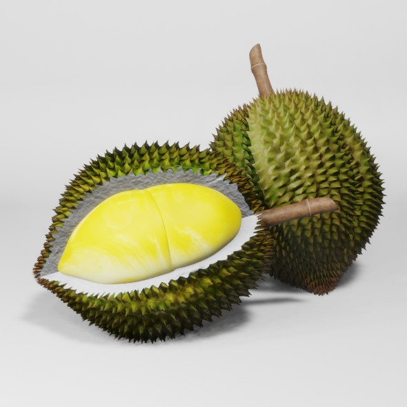 Durian fruit 3D model