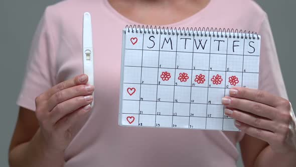 Woman Showing Pregnancy Test and Period Calendar at Camera, Pregnancy Attempt