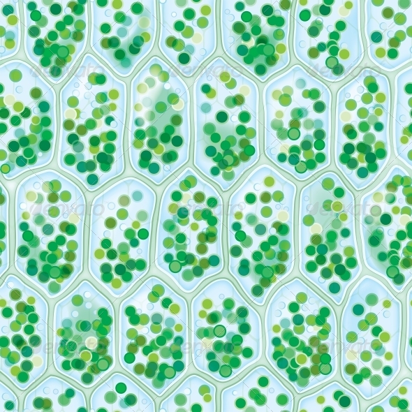 Chlorophyll Cells seamless pattern - Nature Textures