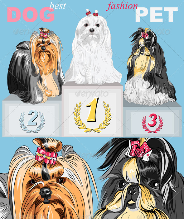 Vector Fashion Dog Champion on the Podium - Animals Characters