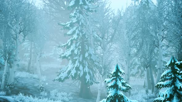 Winter Storm in a Forest in Winter alt