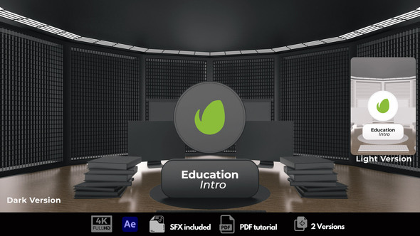 Education Intro Logo Stings template preview