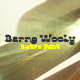 Barno Wooly Vintage Font