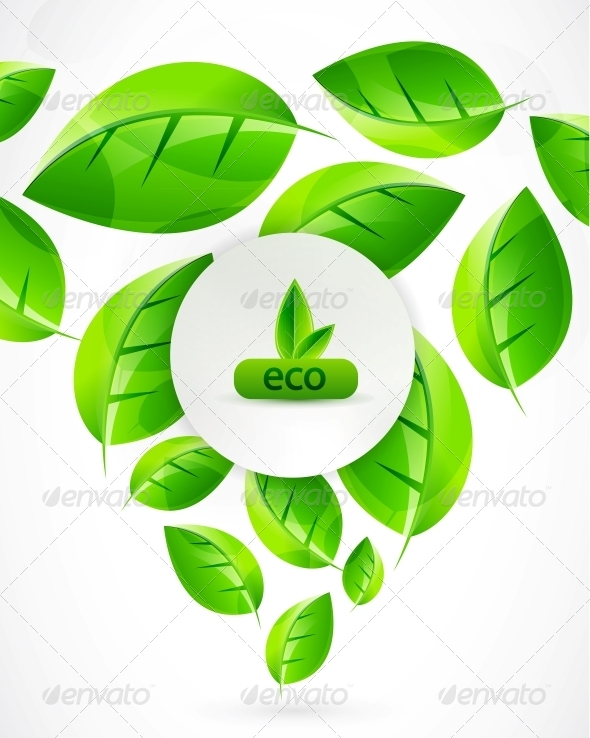 Green Nature Background - Miscellaneous Vectors