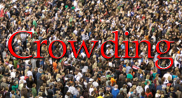 Crowding Collection