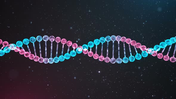 BiColor DNA Chain