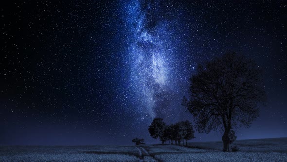 Moving milky way and field with trees at night, timelapse, 4K alt