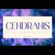 Cendranis - A Chic Sans Serif Typeface