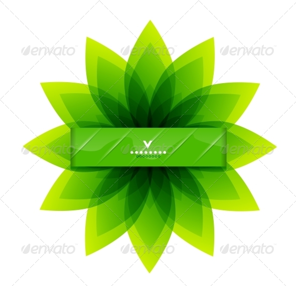 Green Leaves Nature Design - Flowers & Plants Nature