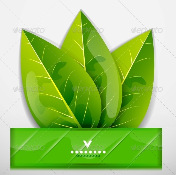 Green Leaves Nature Design - Flowers & Plants Nature