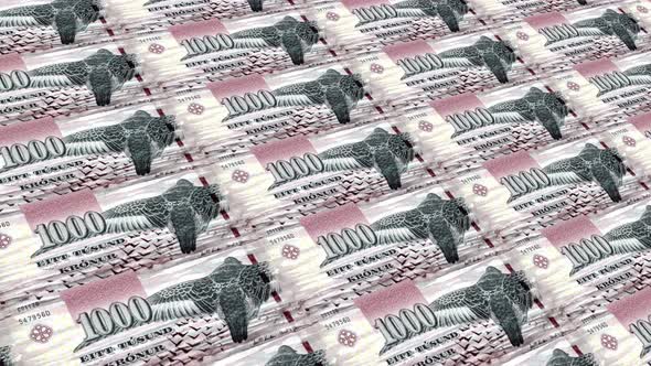 Faroe Islands Money / 1000 Faroese Króna 4K/ alt