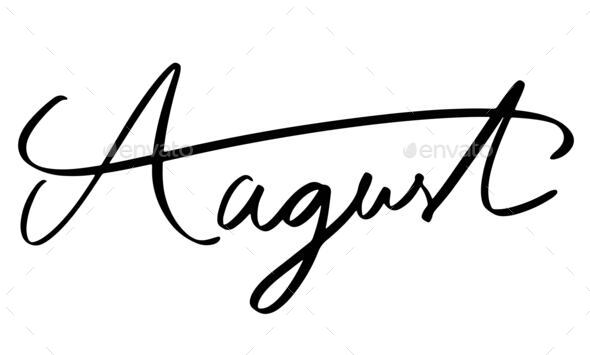 august month calligraphy hand written vector illustration design calendar text typography lettering