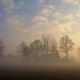 Misty landscape near Heeten - PhotoDune Item for Sale