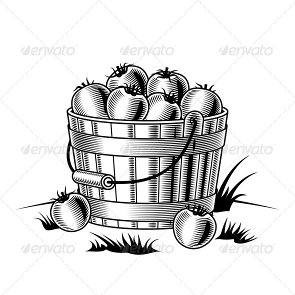 Bucket Of Tomatoes Black And White - Food Objects