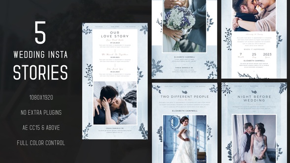 Wedding Instagram Stories Product Promo template preview