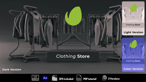 Clothing Store Logo Stings template preview