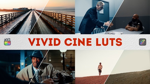 Vivid Cine LUTs | FCPX & Apple Motion