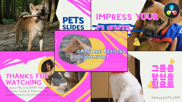 Slides Pets | DaVinci Resolve