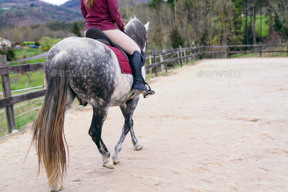 Unrecognizable Calm Equestrian Moment on a Dappled Grey Horse