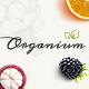 Organium | Healthy & Organic Food Woocommerce Theme