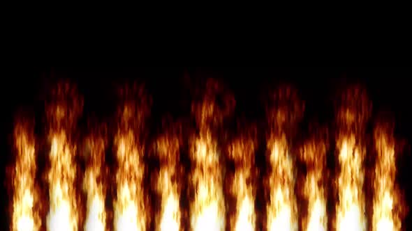 Burning Fire. Bonfire, Fireplace. Close-up of a Flame Burning on a Black Background, Flame Burning