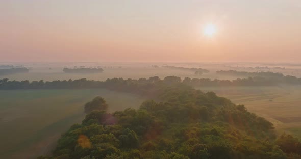 Early Morning Scenery in Field with Sun Casting Beautiful Rays of Light Through the Mist and Trees alt