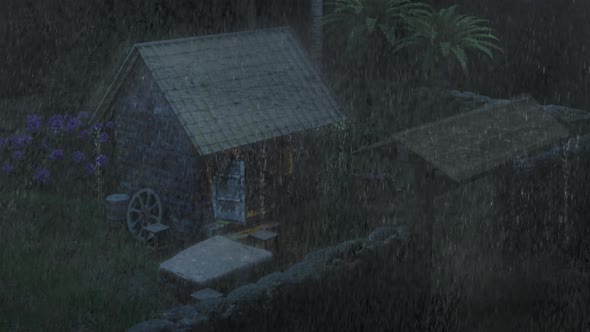 Rain Fell In The Garden Of The Old House