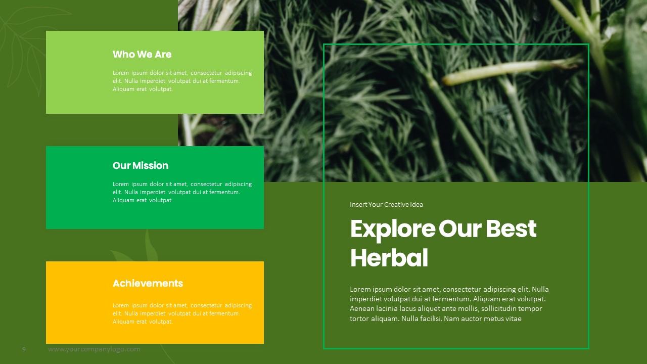 Herbal PowerPoint Presentation, Presentation Templates | GraphicRiver
