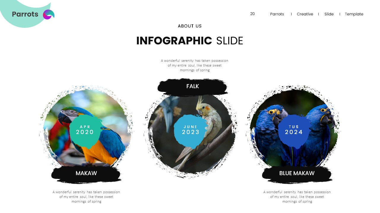 Parrots Birds Care PowerPoint Presentation, Presentation Templates