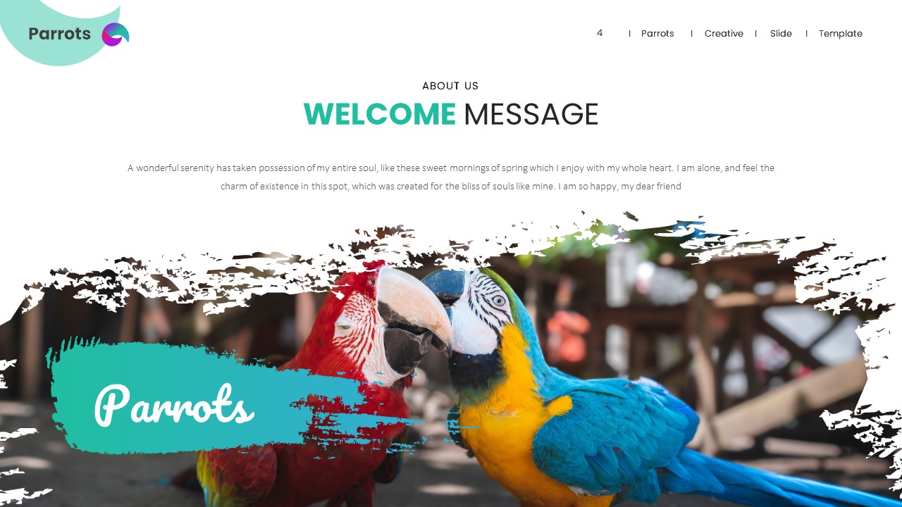 Parrots Birds Care PowerPoint Presentation, Presentation Templates