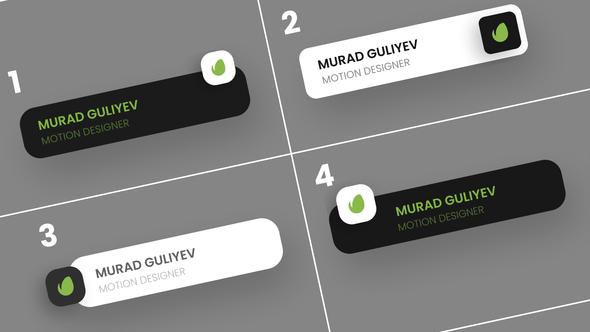 Lower Third Elements template preview