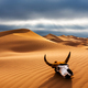 Dramatic sunset over the sand dunes with skull in the desert. Gobi desert - PhotoDune Item for Sale