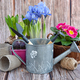 Gardening tools and spring flowers on a rustic wooden background. Gardening concept - PhotoDune Item for Sale