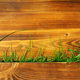 a brown worn wooden background with grass growing through - PhotoDune Item for Sale