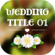 Wedding title V.01 - VideoHive Item for Sale